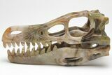Carved Pietersite Dinosaur Skull #208835-1